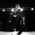 flamenco (129)